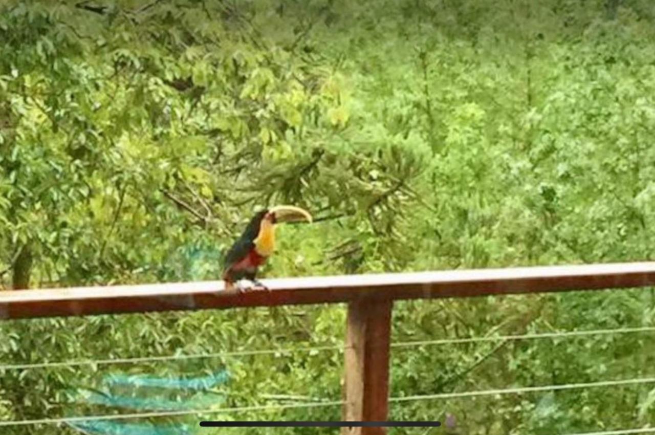 Casa De Vidro Com Vista Mantiqueira - Com Cafe E Staff Villa Campos do Jordão Kültér fotó